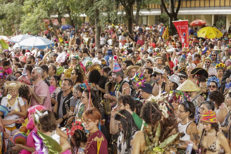 Brasília (DF), 01/03/2025 - Bloco de carnaval, Vai quam fica, nas ruas de Brasília.
Foto: Joédson Alves/Agência Brasil