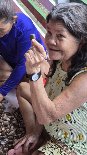 Anderson Águia/Natura/WEG Ilha de Marajó (PA), 29/05/2025 - Mulheres extrativistas. Lourdes Batista mostra amêndoa do murumuru. Foto: Anderson Águia/Natura/WEG