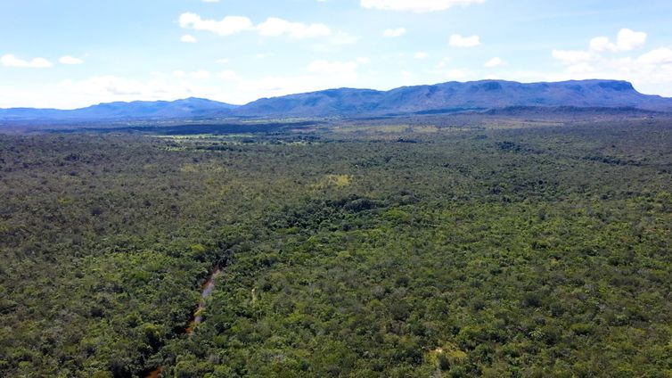 Brasília (DF) 19/05/2025 - Com o título 