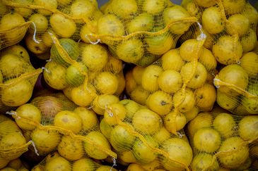 Brasília-DF, 10.11.2023, A Diversas frutas, legumes e verduras que são vendidos diariamente na Centrais de Abastecimento do Distrito Federal, a CEASA-DF. Foto: Rafa Neddermeyer/Agência Brasil