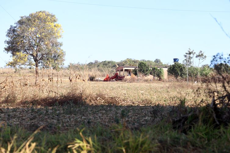Santo Antônio do Descoberto (GO), 08/08/2025 - Desocupação de área rural no entorno do DF remanescente de quilombo. Foto: Valter Campanato/Agência Brasil