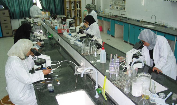 Rio de Janeiro (RJ), 03/10/2025 – SProfessora de Gaza fala sobre o esforço para manter ensino e pesquisas.
Foto: Hala El-Khoondar/Arquivo pessoal