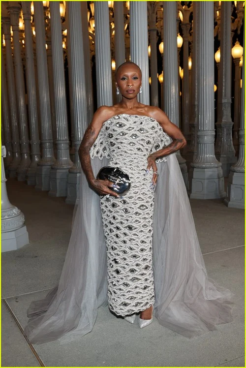 Participantes da Gala de Cinema de Arte LACMA