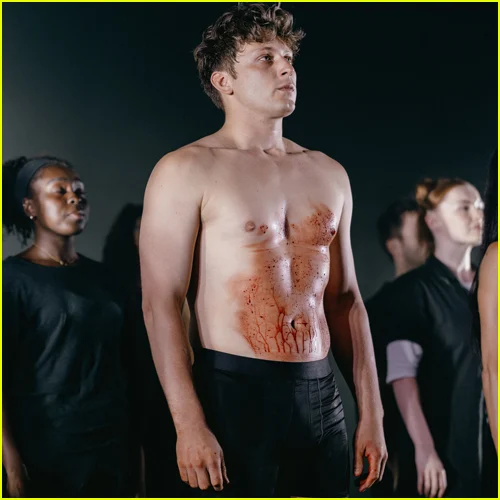 Chamada de Cortina Sunset Blvd