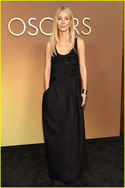 celebridades na premiação do governador