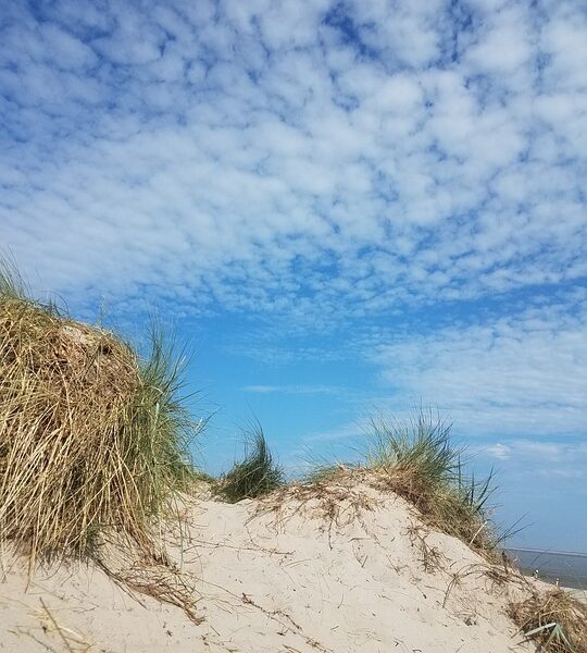 Caetano Veloso e Maria Bethânia são indicados ao Grammy