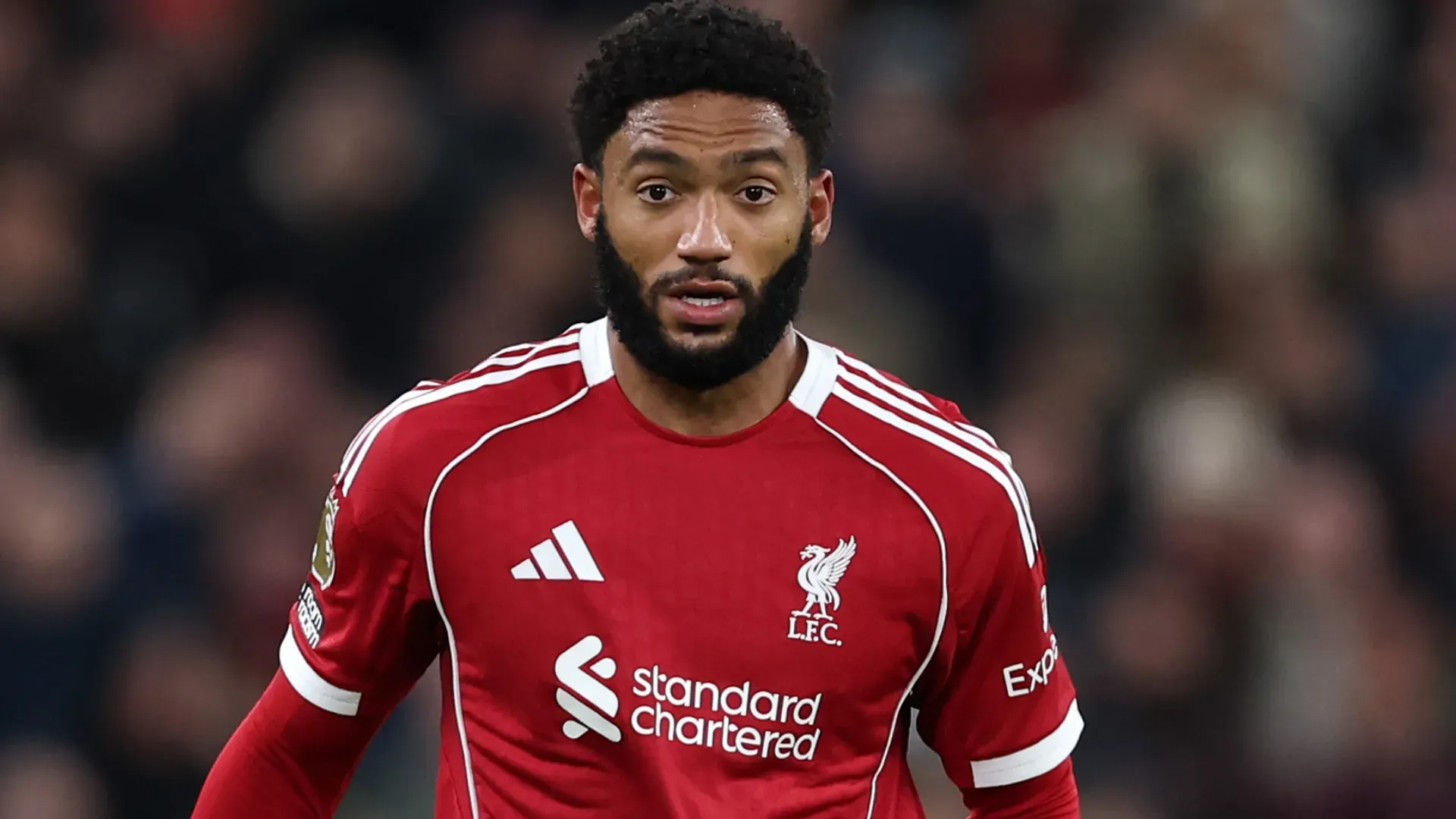 Estrela do Liverpool, Joe Gomez