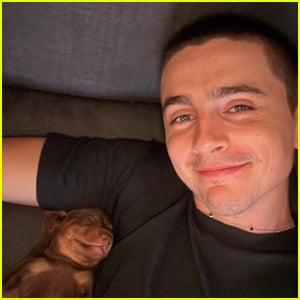 Timothee Chalamet mostra seu novo cachorrinho super fofo