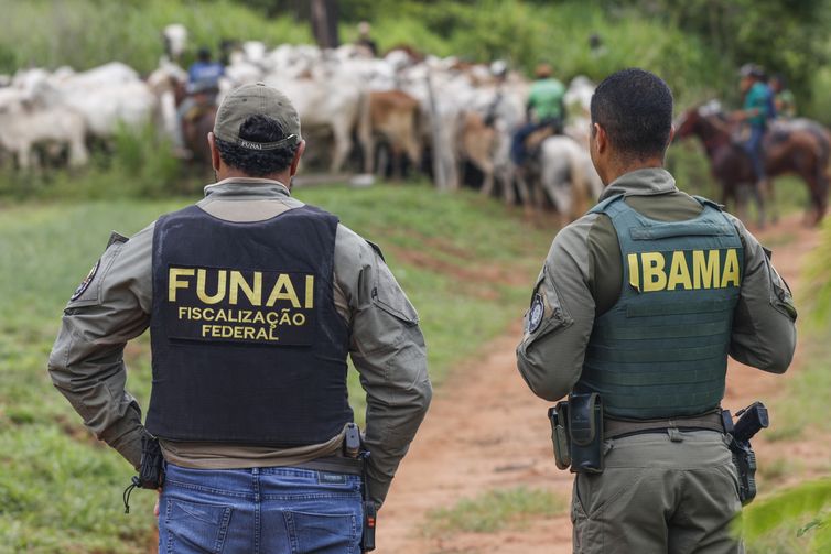 São Félix do Xingu (PA), 16/12/2025 – Colaboradores e fiscais do Ibama são vistos na separação de gado durante ação de desintrusão no território indígena Apyterewa, é realizada de forma integrada, com participação do Ministério dos Povos Indígenas, Funai, Abin, Ibama, Força Nacional, polícias Civil e Militar do Pará e da Agência de Defesa Agropecuária do estado.
Um funcionário do Ibama morreu, nesta segunda-feira (15), após ser baleado durante uma operação para a retirada de invasores na Terra Indígena Apyterewa.
Foto: Bruno Peres/Agência Brasil