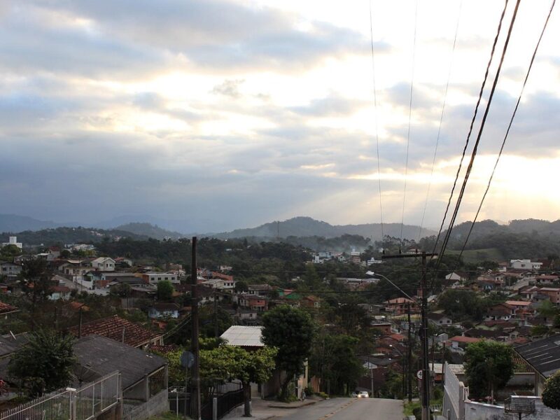 Brasileiro: Cruzeiro e Botafogo empatam no encerramento da 37ª rodada