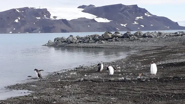 Estação Comandante Ferraz, base de pesquisa do Brasil na Antártica