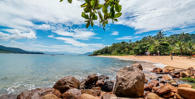 brown rocks near body of water during daytime