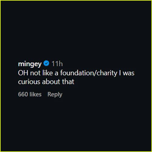 Comentário de Amanda Seyfried no Instagram