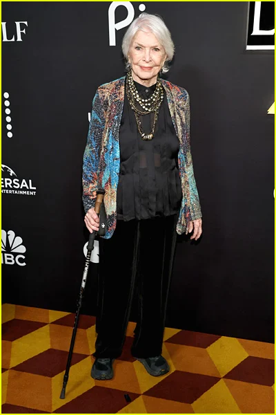 estrelas presentes na celebração do 25º aniversário da Lei e da Ordem