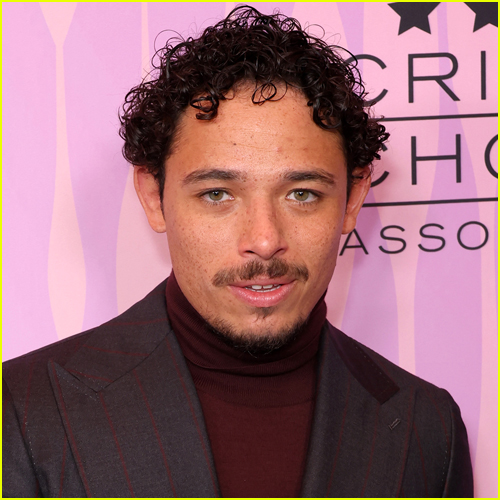 pug cantor mascarado