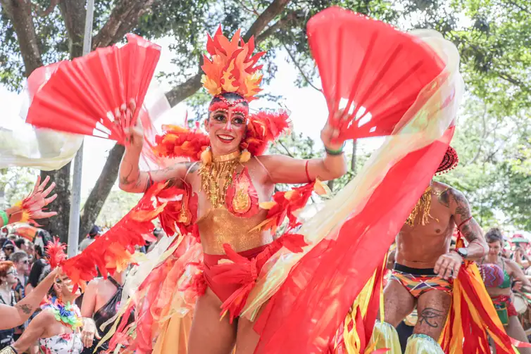 Brasília (DF), 17/02/2026 -Carnaval de rua no Bloco Calango Careta.
Foto: Joédson Alves/Agência Brasil