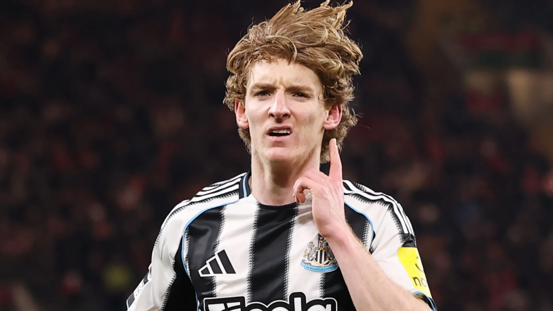 Anthony Gordon, estrela do Newcastle United