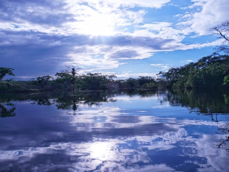 Amazônia Legal concentra quase metade dos conflitos de terra no Brasil