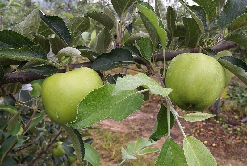 PGR é contra pedido de general para receber visita íntima na prisão