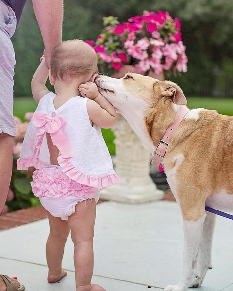 Besa Me Mucho leva música latina às ladeiras do Morro da Providência