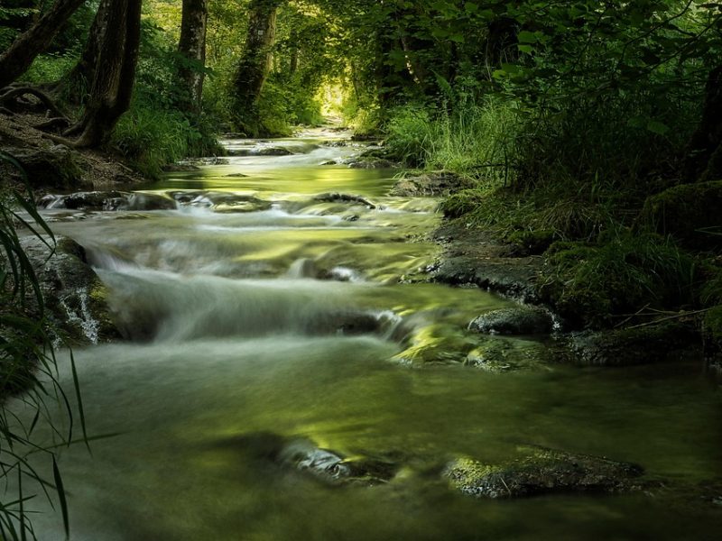 Bad Bunny, vencedor do Grammy e crítico de Trump, canta no Super Bowl