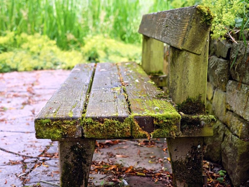 Banco do Brasil anuncia apoio a vítimas de enchente em MG