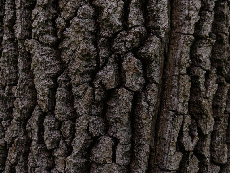 Latam demite piloto preso por estuprar meninas