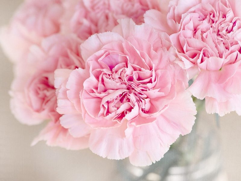 Bia Haddad crava 1ª vitória de 2026 em classificatório do WTA de Doha