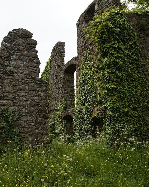 Lula defende PEC da Segurança Pública e diz que vai criar ministério