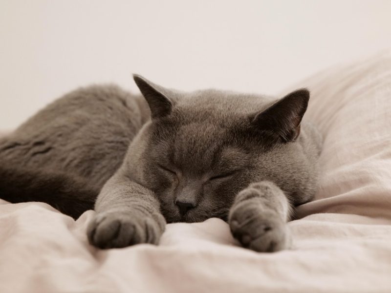 Ex-embaixador britânico é preso após revelações relacionadas a Epstein