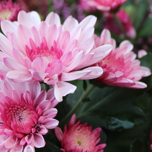 STJ abre sindicância contra ministro acusado de importunação sexual