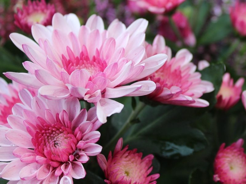 STJ abre sindicância contra ministro acusado de importunação sexual