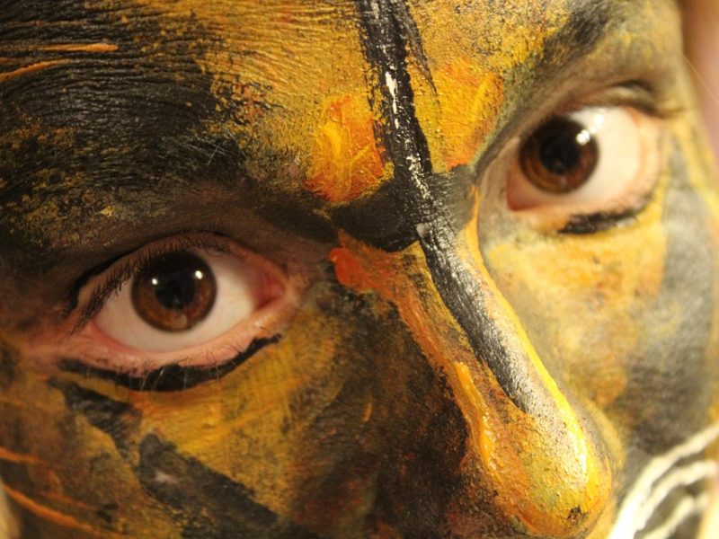 Fecham desfiles no RJ: Tuiuti, Vila Isabel, Grande Rio e Salgueiro