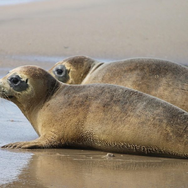 BNDES libera R$ 280 mi para fábrica de bateria da transição energética