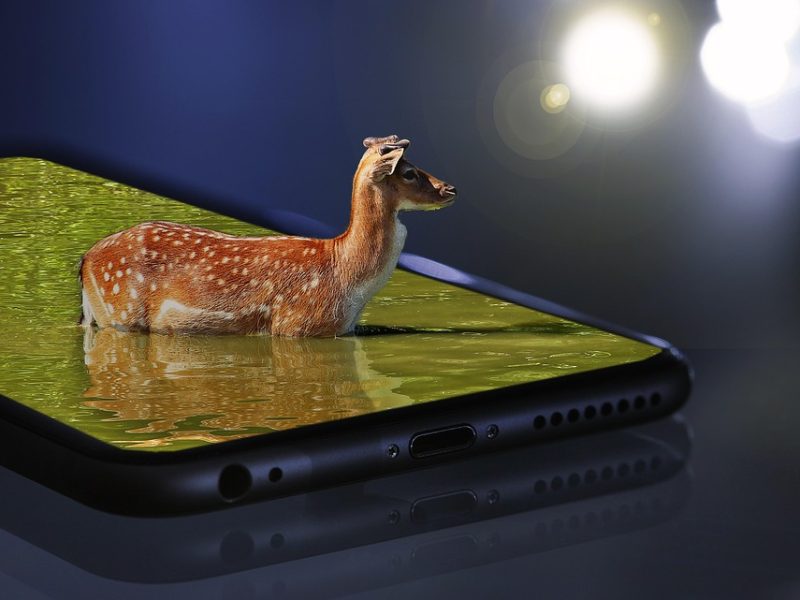 Beija-Flor de Nilópolis inova no carnaval 2026 e usa impressoras 3D