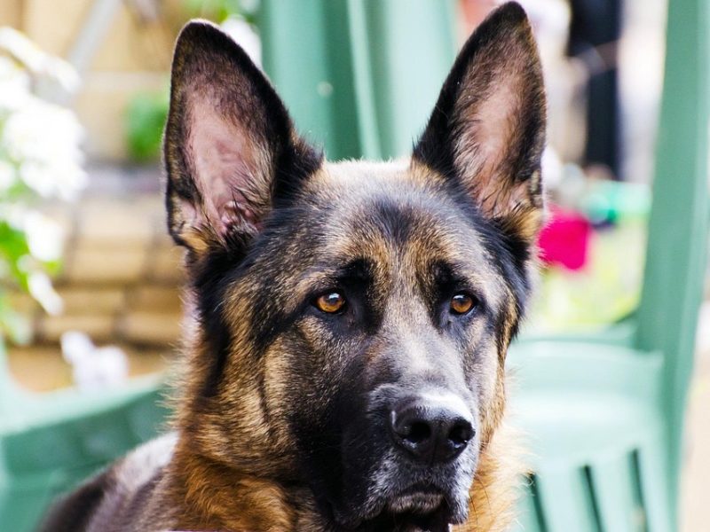 Lula volta a defender mandato para ministros do STF