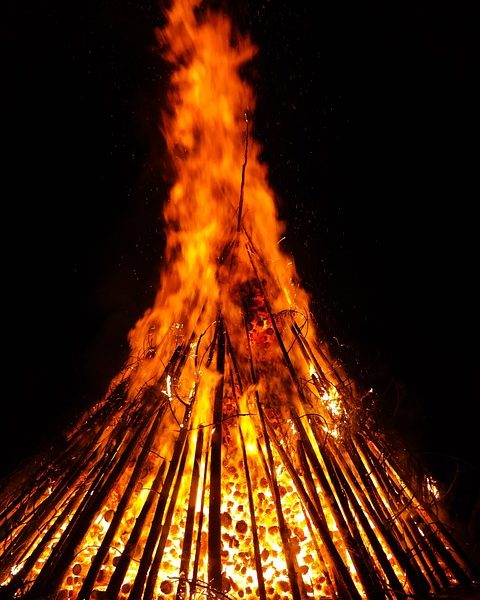 João Fonseca e Marcelo Melo alcançam final do Rio Open