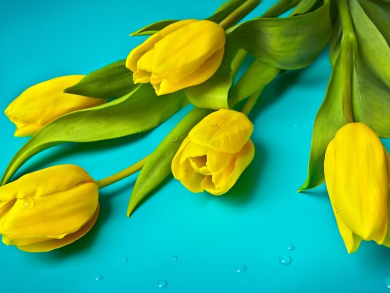 Semana do Cinema começa hoje e traz ingressos a partir de R$ 10