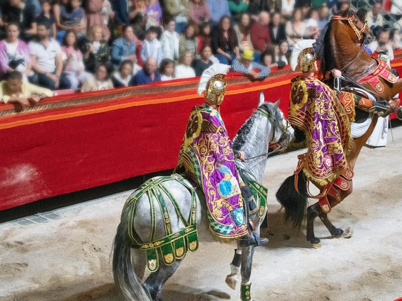 Desfile das campeãs celebra hoje o carnaval do Rio