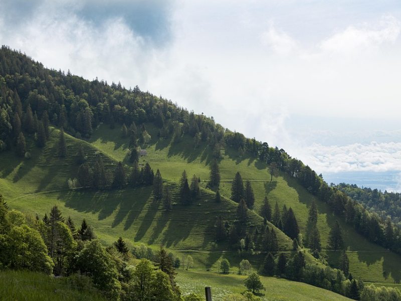 Wagner Moura, Papa Leão XIV, João Gomes: os bonecos de Olinda de 2026