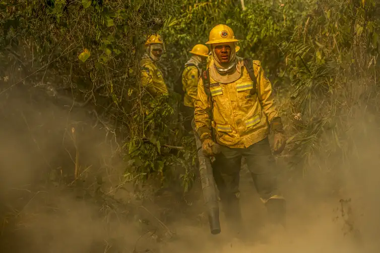 Marcelo Camargo/Agência Brasil Corumbá (MS), 30/06/2024 - Brigadistas da comunidade quilombola Kalunga, em Goiás, chegam ao Pantanal como reforço na equipe do Prevfogo/Ibama e enfrentam vegetação densa em seu primeiro dia de combate na região. Foto: Marcelo Camargo/Agência Brasil