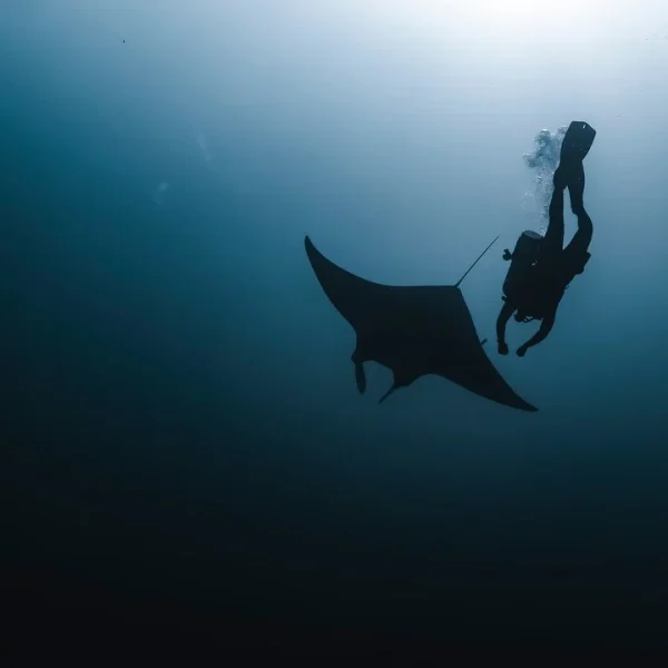 STJ mantém prisão de piloto acusado de espancar jovem em Brasília