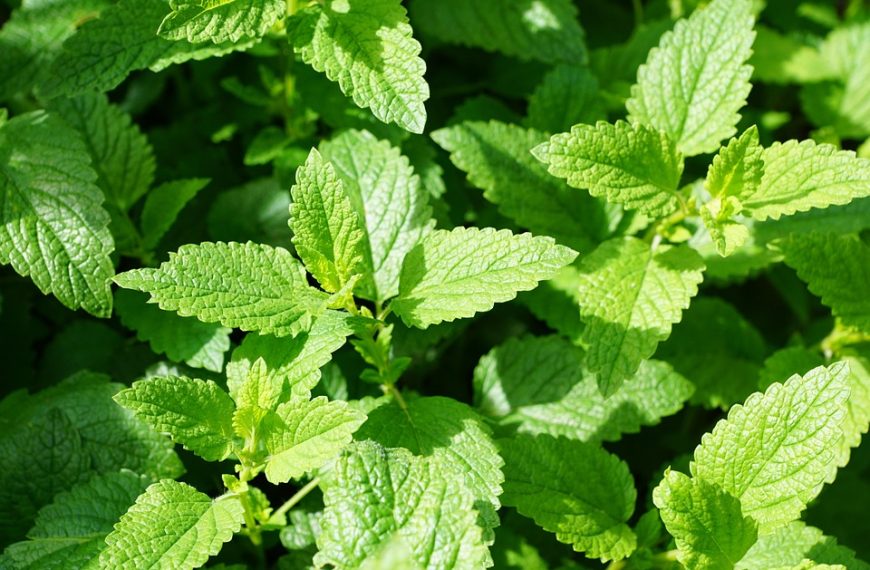 Hugo Calderano vira número 2 do mundo e 1º sul-americano na posição