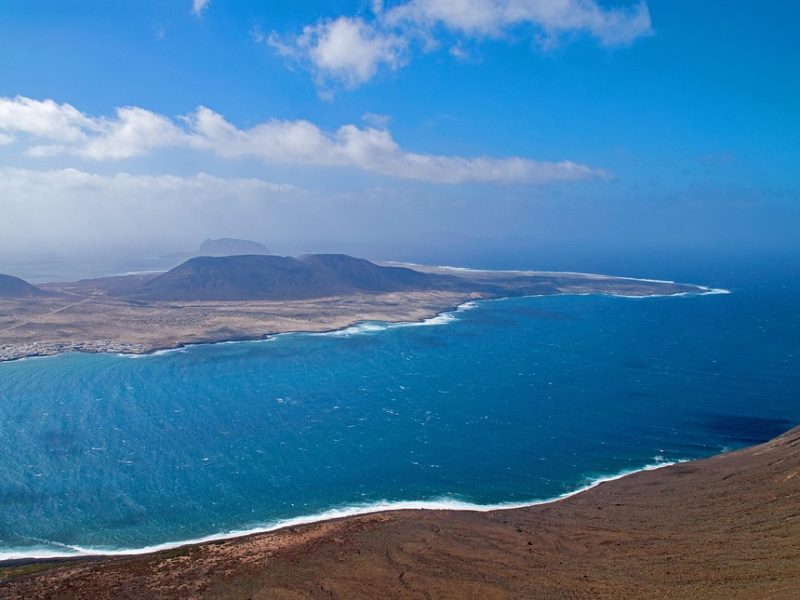 Rio ganha Núcleo de Proteção e Defesa dos Animais