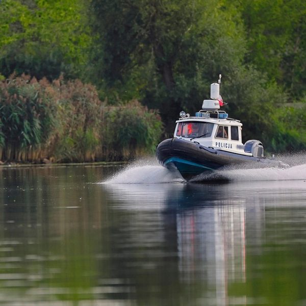 Polícia quer apreender passaporte de envolvido na morte do cão Orelha