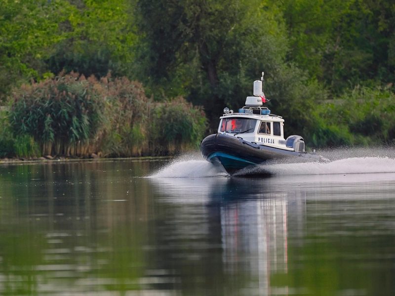 Polícia quer apreender passaporte de envolvido na morte do cão Orelha