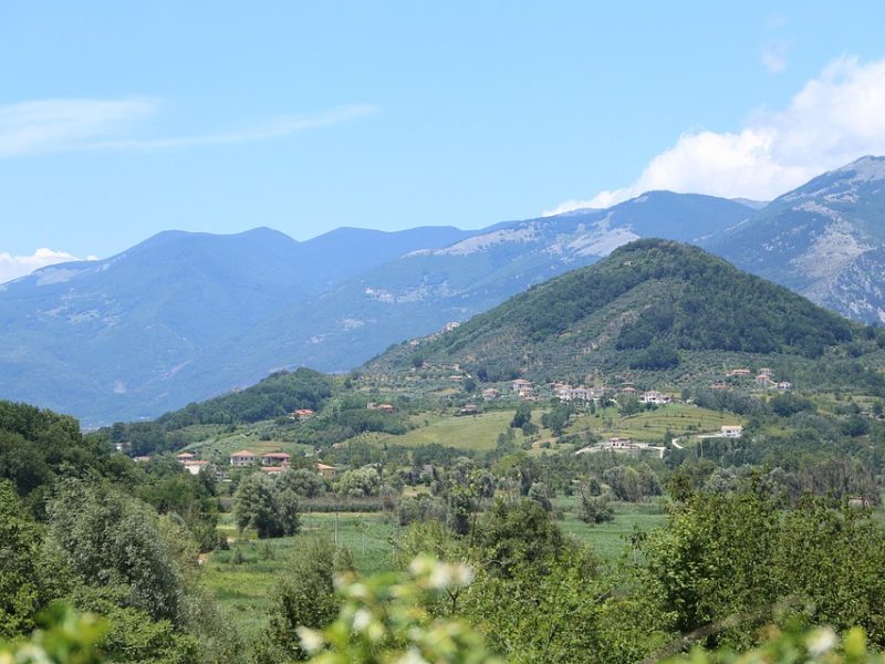 Trump posta vídeo racista com casal Obama como macacos