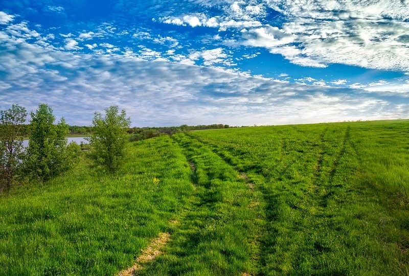 Moraes autoriza Silvinei Vasques a cursar doutorado EAD na prisão