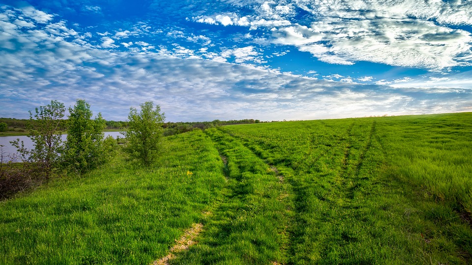 Moraes autoriza Silvinei Vasques a cursar doutorado EAD na prisão