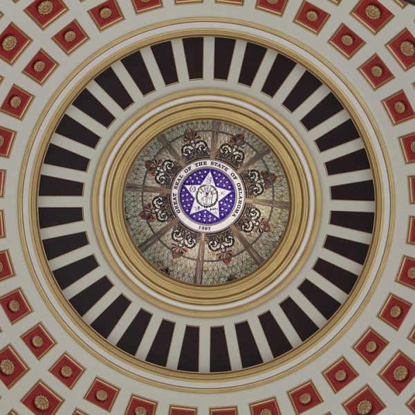 Governo lança edital para combate ao desmatamento na Amazônia